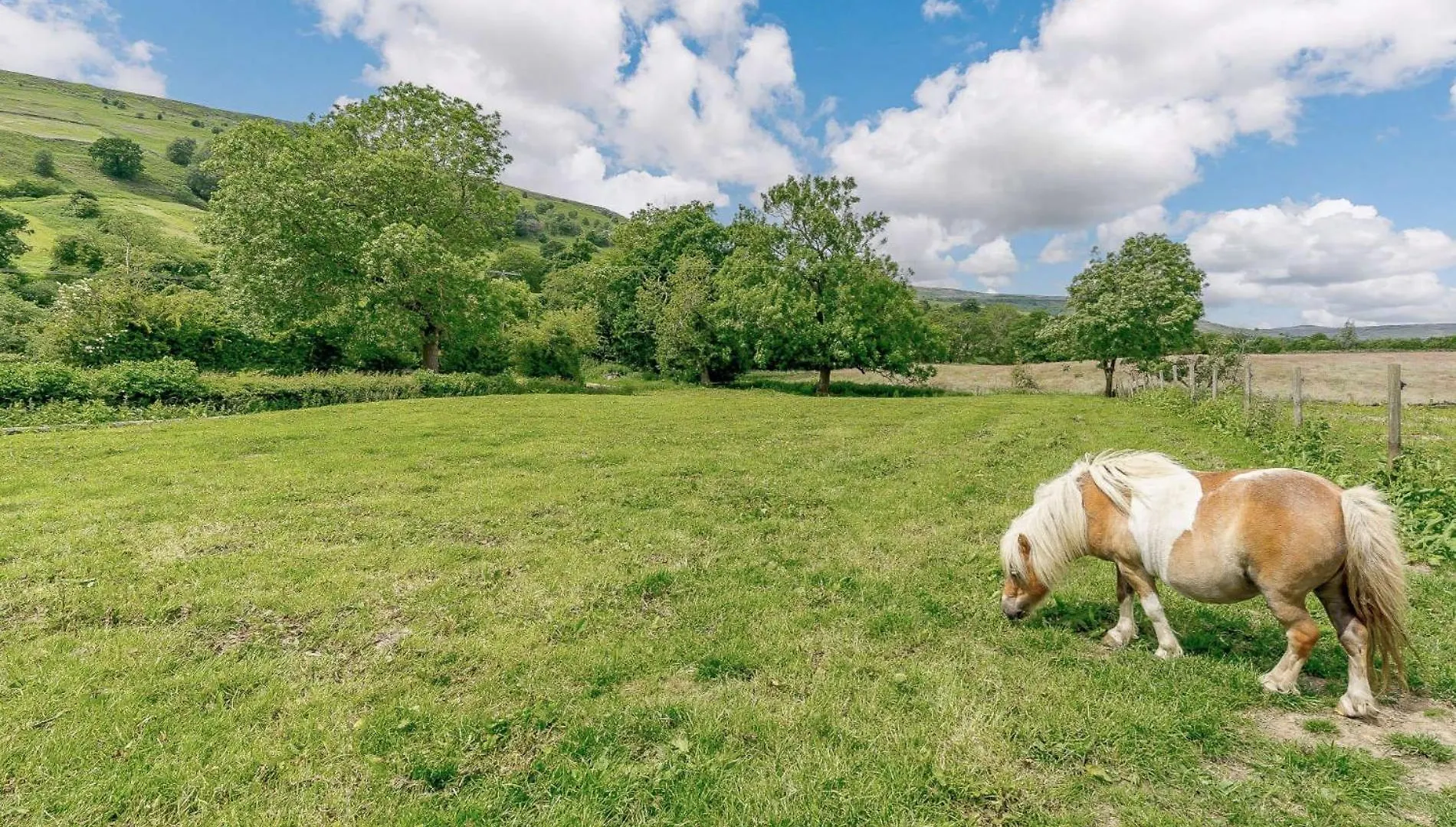 3 Bed In Helmsley 72267 Villa Chop Gate United Kingdom